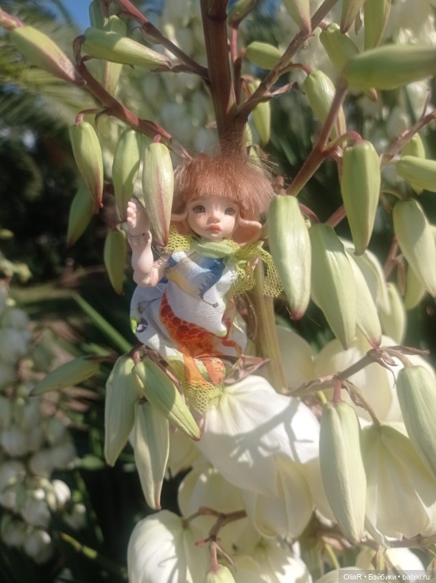 Индоутки и Богомол или Путешествие Мышуни по Орнитологическому парку в Адлере (Сириус)