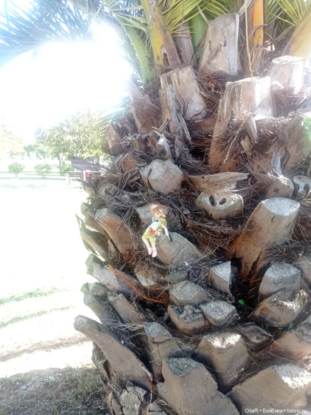 Индоутки и Богомол или Путешествие Мышуни по Орнитологическому парку в Адлере (Сириус) (фото 5)