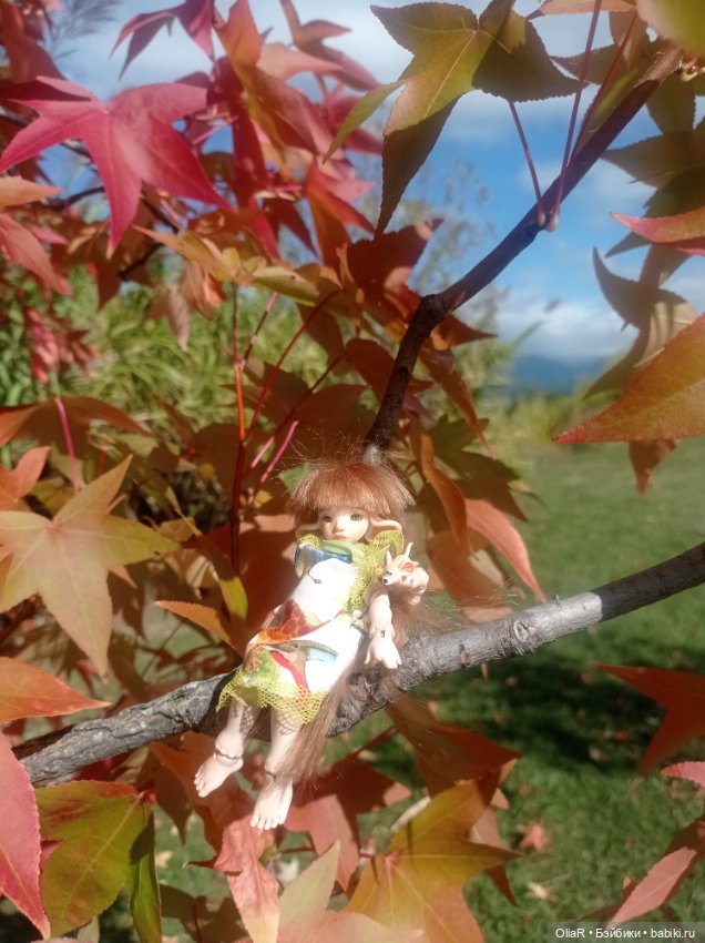 Индоутки и Богомол или Путешествие Мышуни по Орнитологическому парку в Адлере (Сириус)