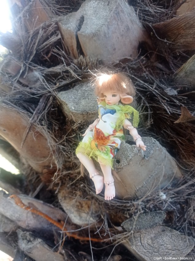 Индоутки и Богомол или Путешествие Мышуни по Орнитологическому парку в Адлере (Сириус) (фото 6)