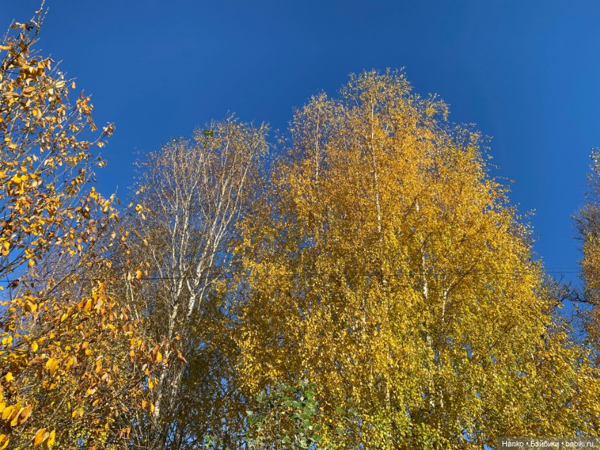 Простушки — Игровые куклы разных производителей (Разное): редкие бренды