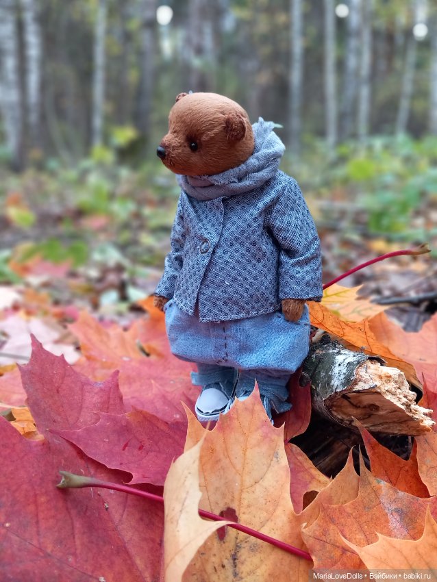 На ковре осенних листьев — Куклы Ruby Red (Руби Ред) Fashion Friends: Siblies