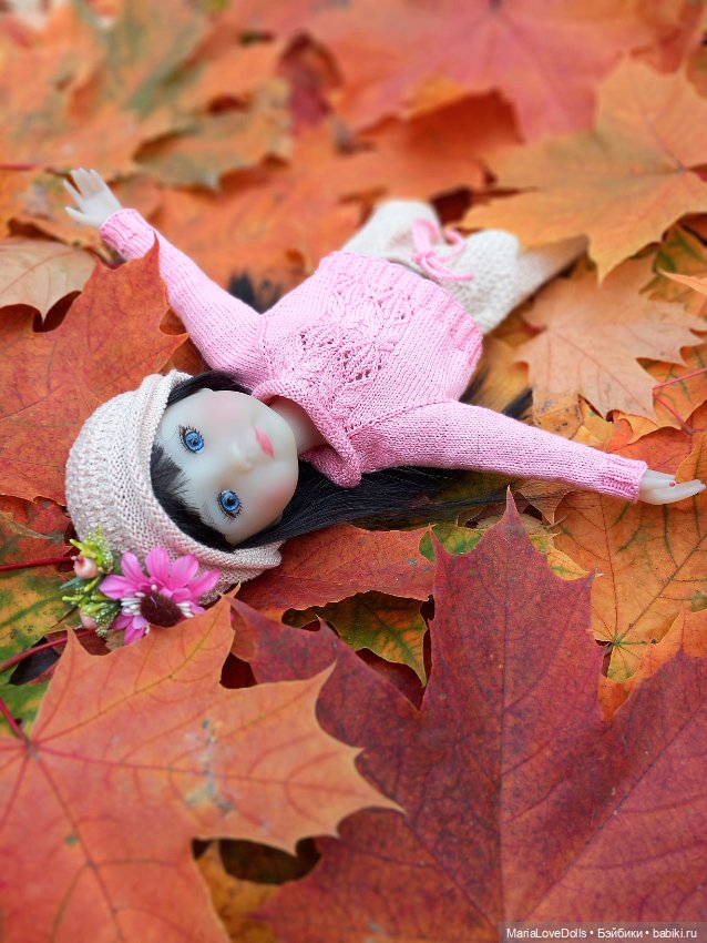 На ковре осенних листьев — Куклы Ruby Red (Руби Ред) Fashion Friends: Siblies