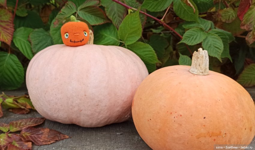 Тыквёнок Пак — Вязаные игрушки и амигуруми: крючком (фото 3)
