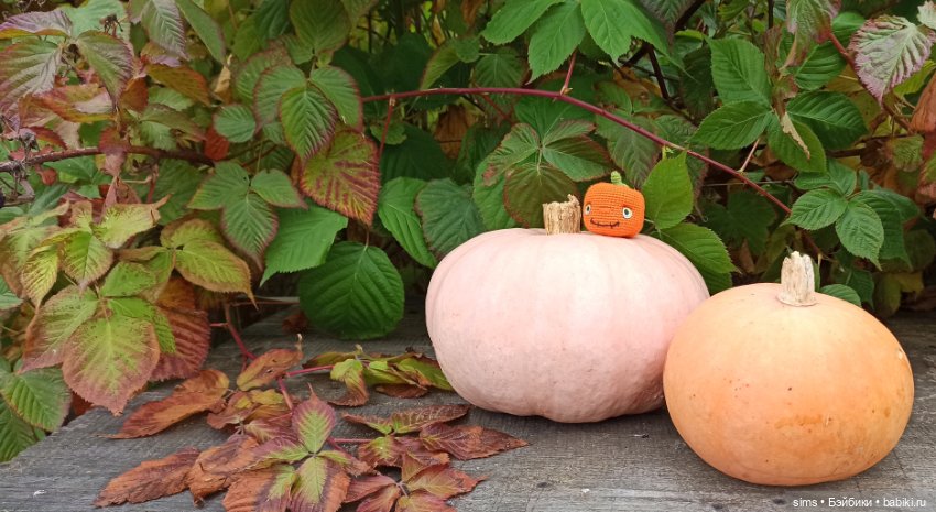 Тыквёнок Пак — Вязаные игрушки и амигуруми: крючком (фото 2)