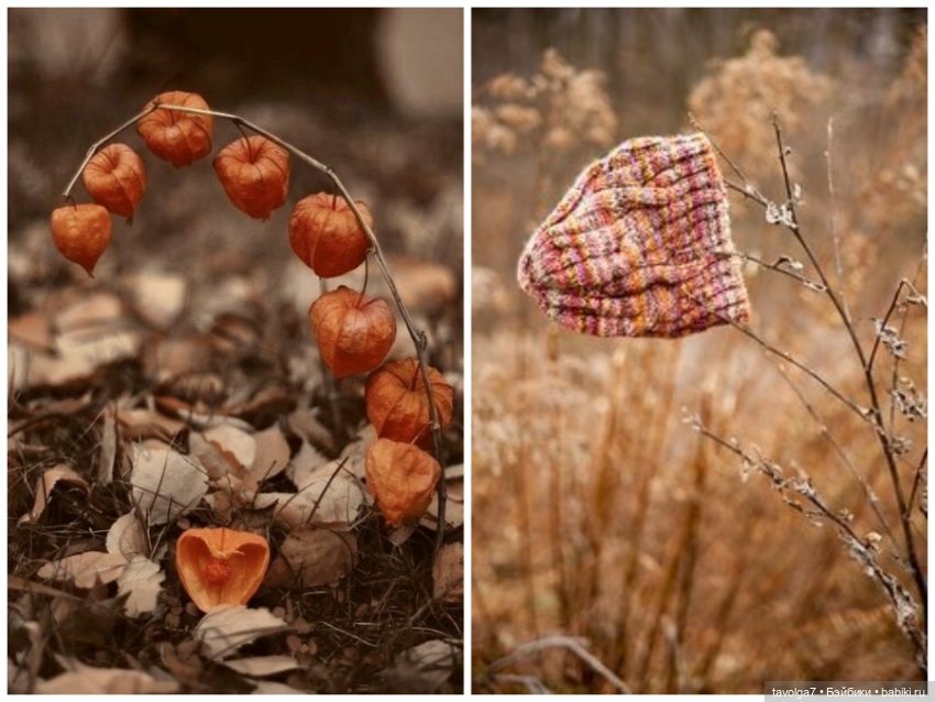 Октябрь - Каштаны - Свитера (фото 5)