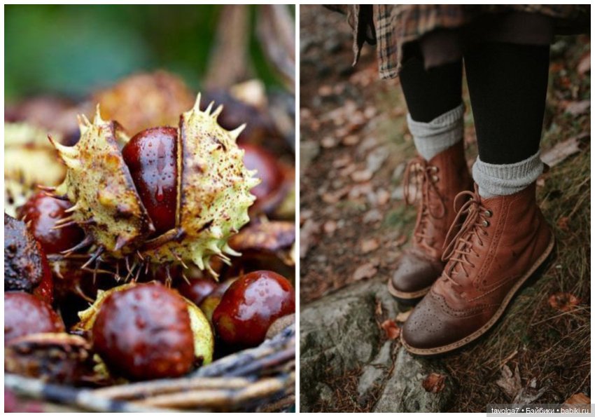 Октябрь - Каштаны - Свитера