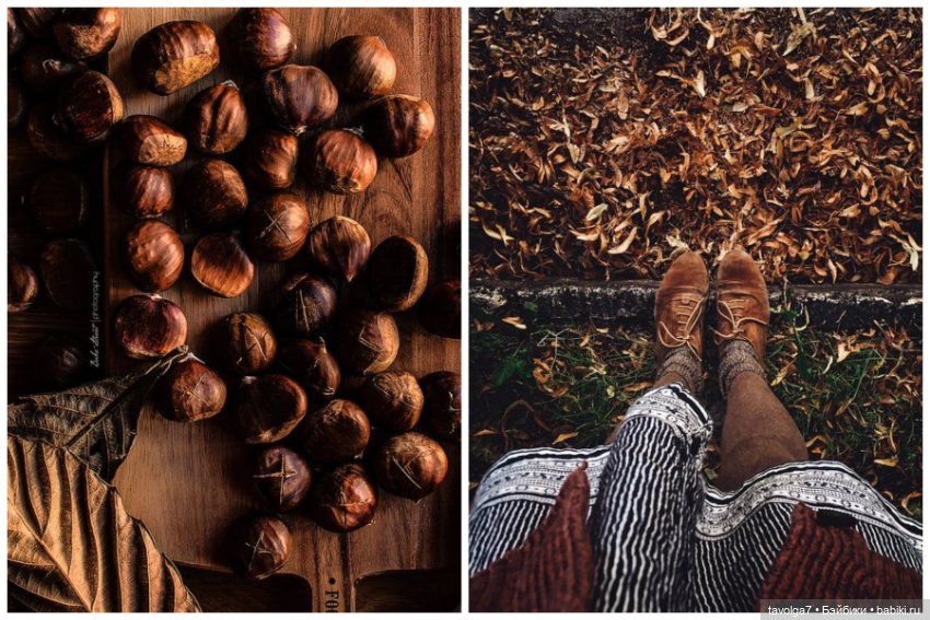 Октябрь - Каштаны - Свитера