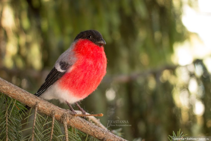 Снегири — Валяные игрушки из шерсти: сухое валяние