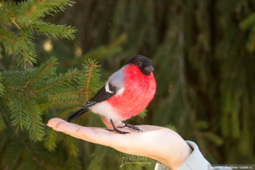 Снегири — Валяные игрушки из шерсти: сухое валяние (фото 6)