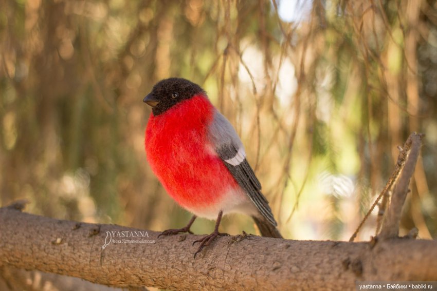 Снегири — Валяные игрушки из шерсти: сухое валяние (фото 9)
