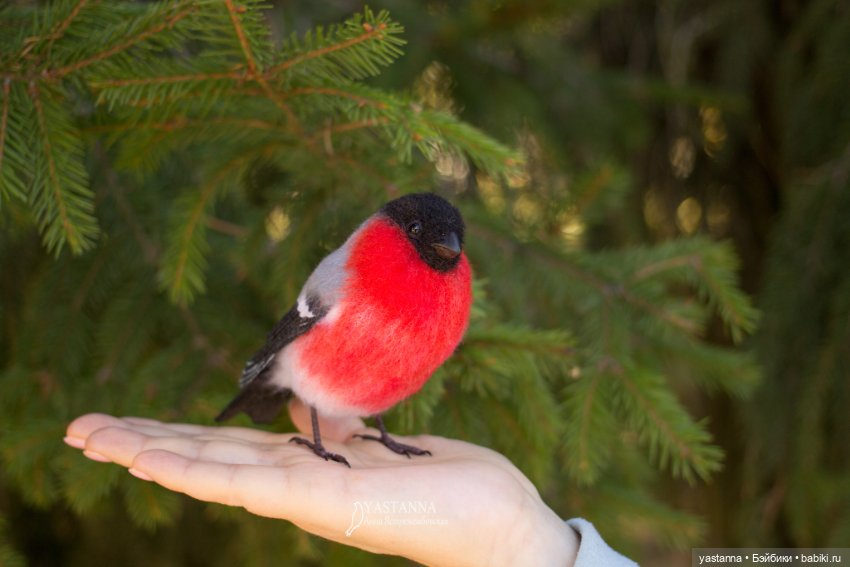 Снегири — Валяные игрушки из шерсти: сухое валяние (фото 3)