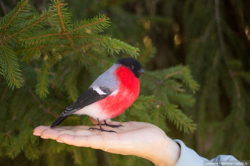 Снегири — Валяные игрушки из шерсти: сухое валяние (фото 2)