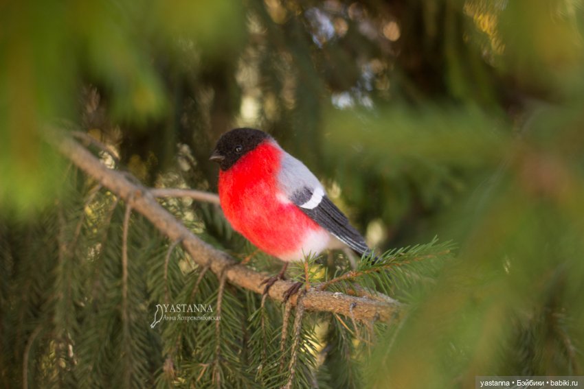 Снегири — Валяные игрушки из шерсти: сухое валяние