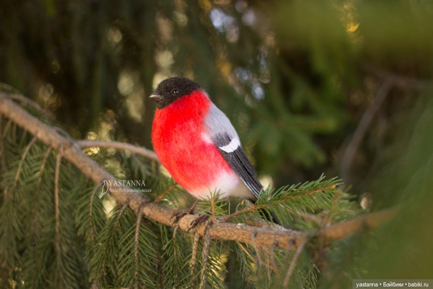 Снегири — Валяные игрушки из шерсти: сухое валяние (фото 10)