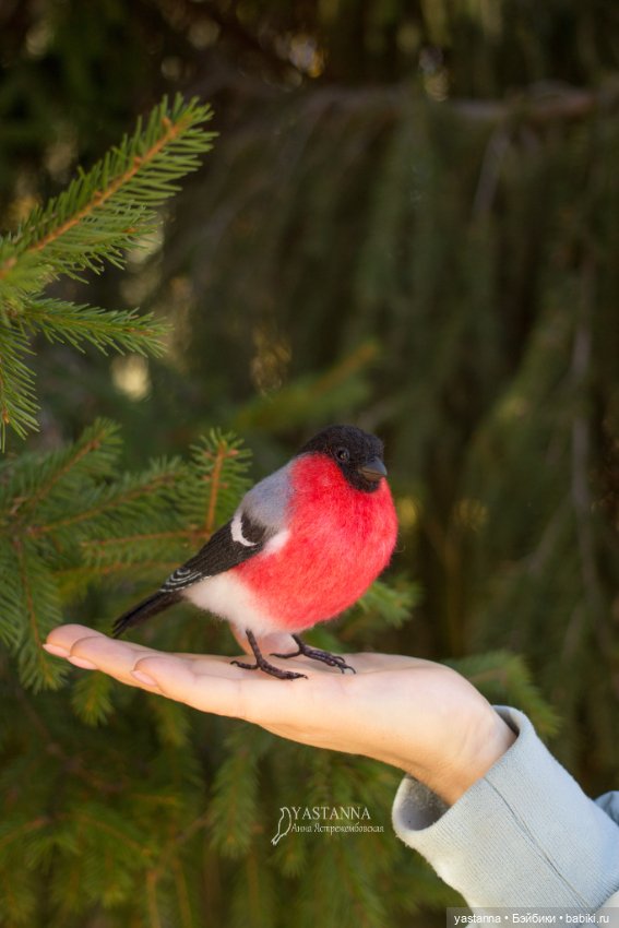 Снегири — Валяные игрушки из шерсти: сухое валяние (фото 7)