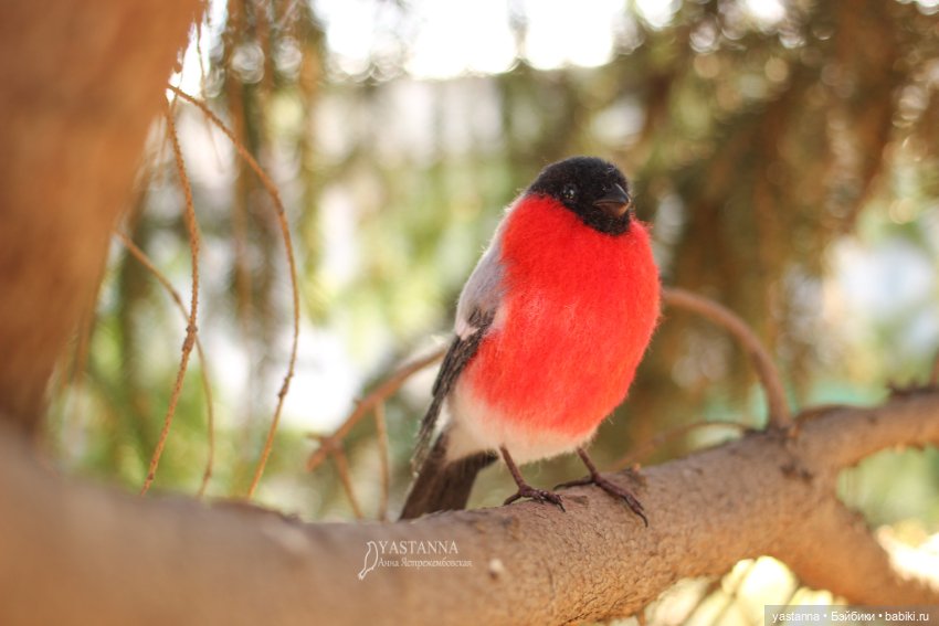Снегири — Валяные игрушки из шерсти: сухое валяние (фото 8)