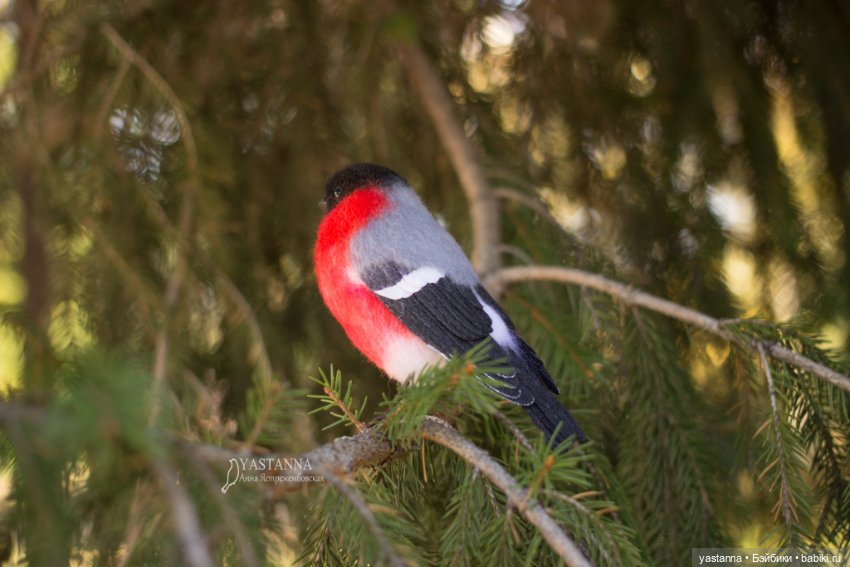Снегири — Валяные игрушки из шерсти: сухое валяние