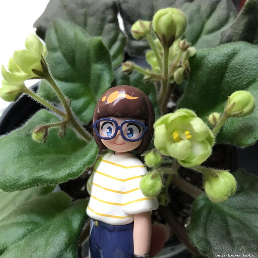 Hello Nori — Фигурки Pop Mart (Поп Март): Blind Box (фото 6)