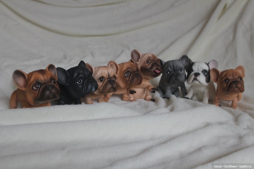 С сегодняшнего дня начался предзаказ на моего шарнирного щенка фрацузского бульдога