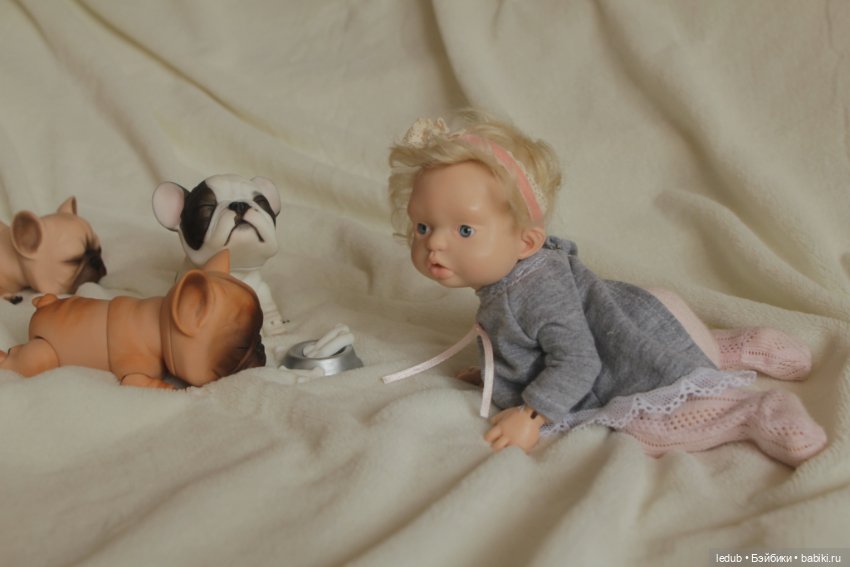 С сегодняшнего дня начался предзаказ на моего шарнирного щенка фрацузского бульдога