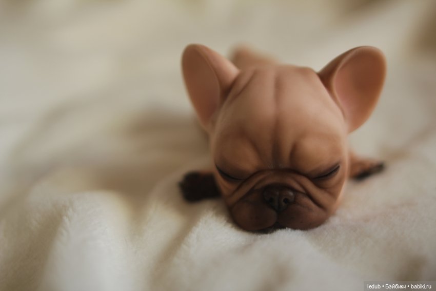 С сегодняшнего дня начался предзаказ на моего шарнирного щенка фрацузского бульдога (фото 9)