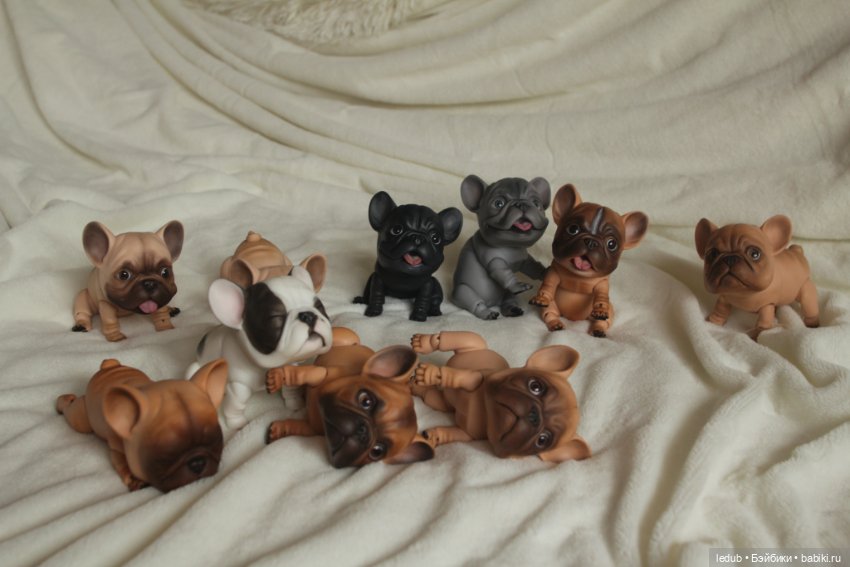 С сегодняшнего дня начался предзаказ на моего шарнирного щенка фрацузского бульдога