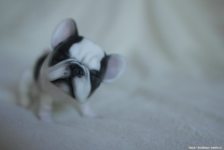 С сегодняшнего дня начался предзаказ на моего шарнирного щенка фрацузского бульдога