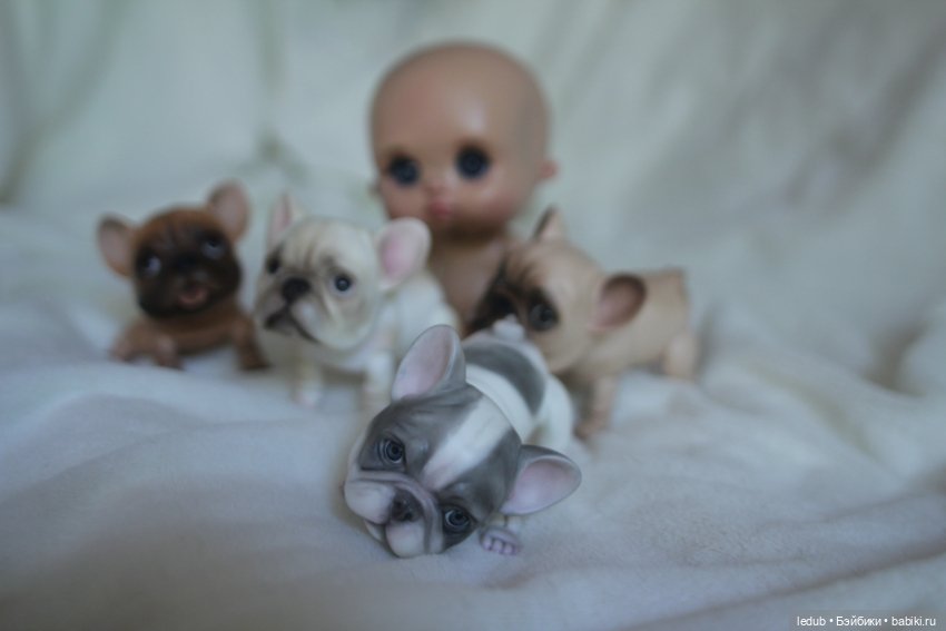 С сегодняшнего дня начался предзаказ на моего шарнирного щенка фрацузского бульдога