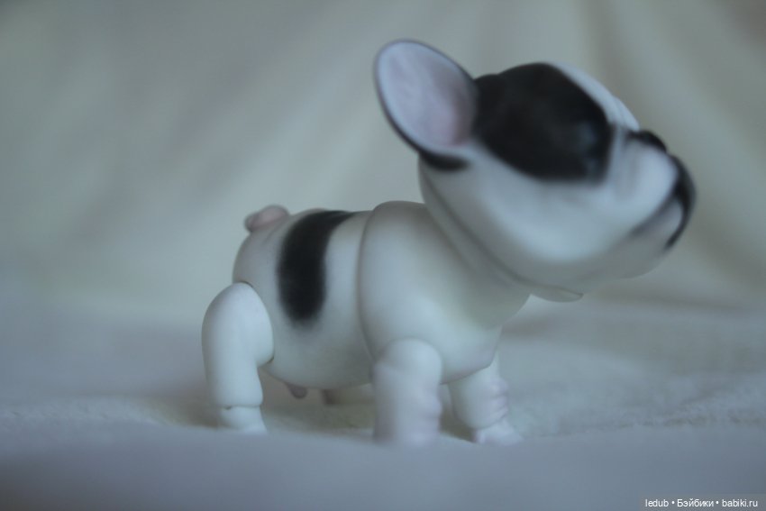 С сегодняшнего дня начался предзаказ на моего шарнирного щенка фрацузского бульдога