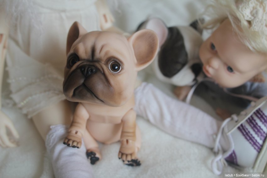 С сегодняшнего дня начался предзаказ на моего шарнирного щенка фрацузского бульдога