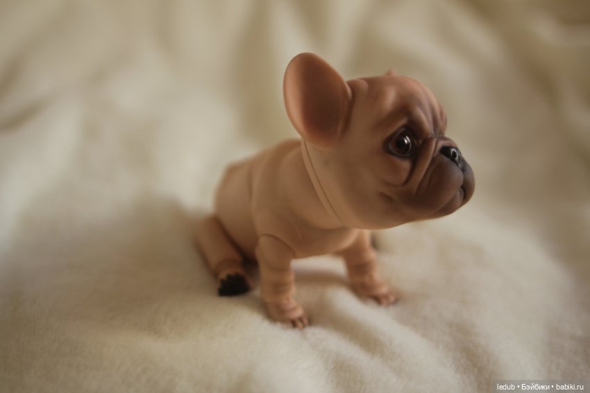 С сегодняшнего дня начался предзаказ на моего шарнирного щенка фрацузского бульдога (фото 2)