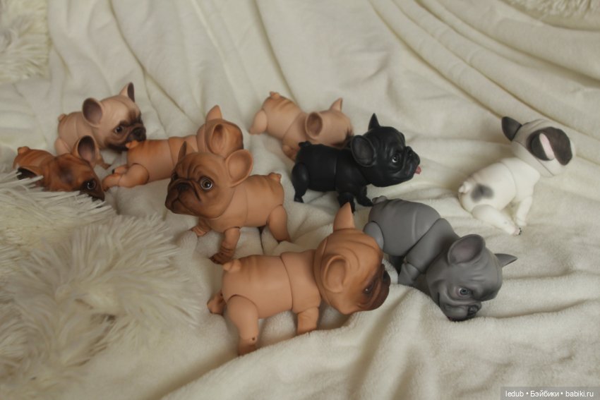 С сегодняшнего дня начался предзаказ на моего шарнирного щенка фрацузского бульдога