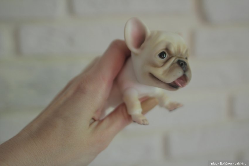 С сегодняшнего дня начался предзаказ на моего шарнирного щенка фрацузского бульдога