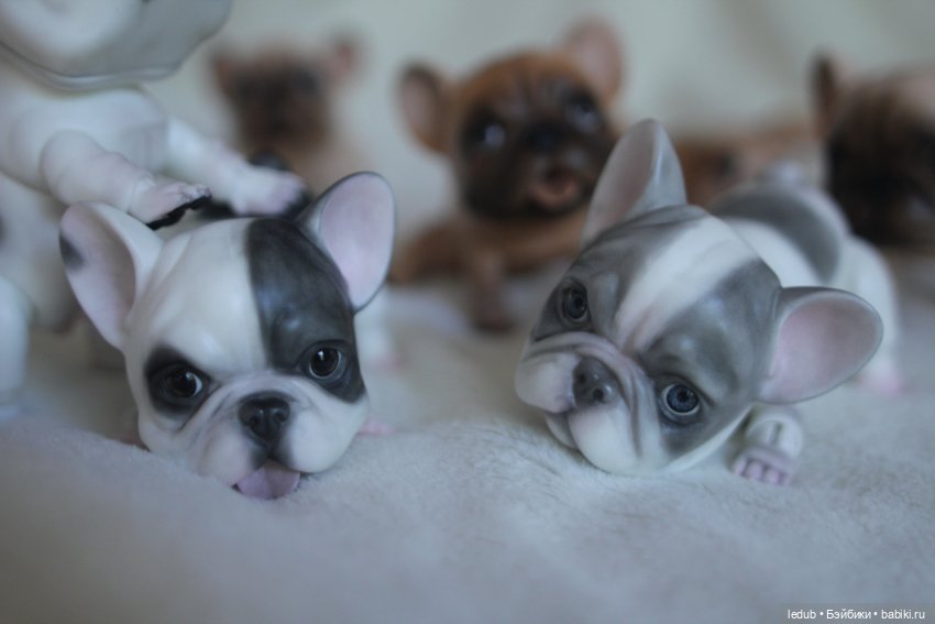 С сегодняшнего дня начался предзаказ на моего шарнирного щенка фрацузского бульдога