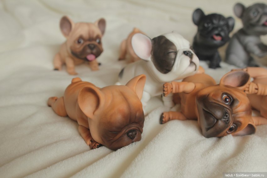С сегодняшнего дня начался предзаказ на моего шарнирного щенка фрацузского бульдога