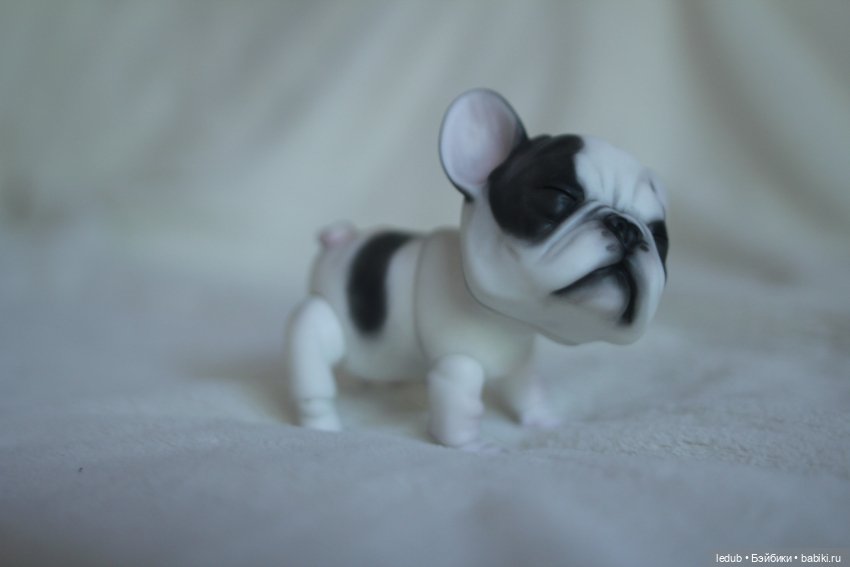 С сегодняшнего дня начался предзаказ на моего шарнирного щенка фрацузского бульдога