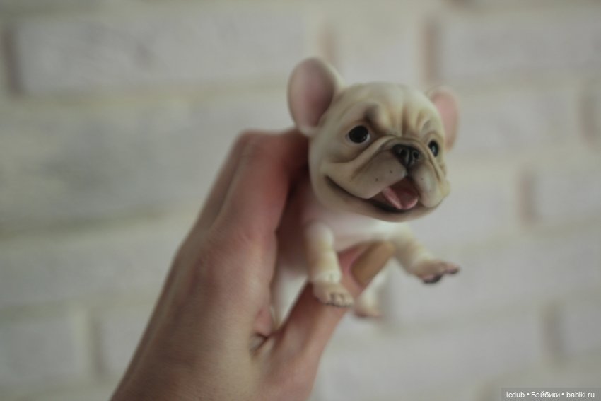 С сегодняшнего дня начался предзаказ на моего шарнирного щенка фрацузского бульдога