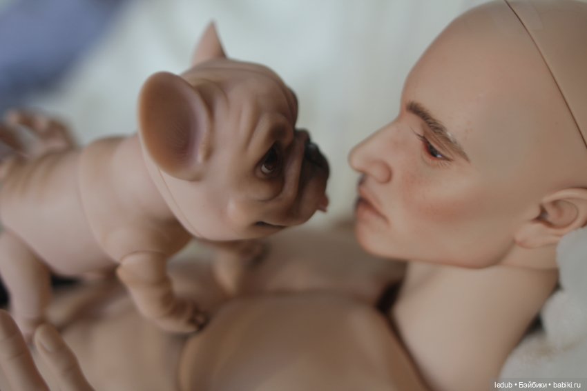 С сегодняшнего дня начался предзаказ на моего шарнирного щенка фрацузского бульдога