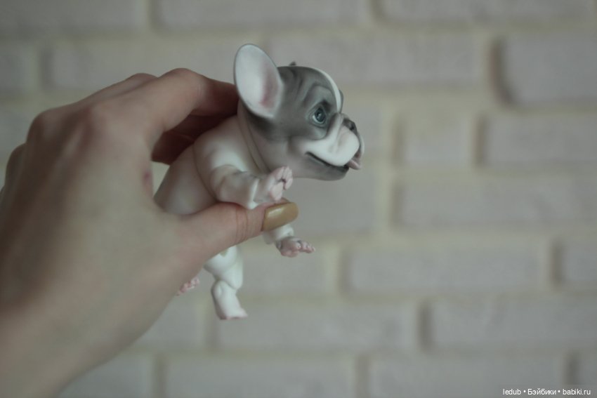 С сегодняшнего дня начался предзаказ на моего шарнирного щенка фрацузского бульдога