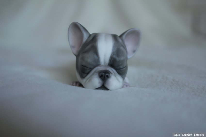 С сегодняшнего дня начался предзаказ на моего шарнирного щенка фрацузского бульдога