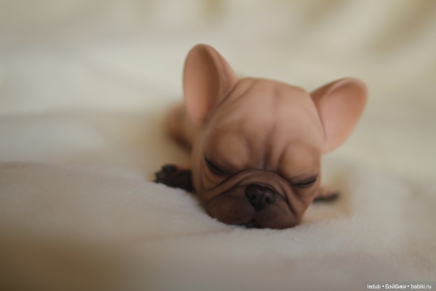 С сегодняшнего дня начался предзаказ на моего шарнирного щенка фрацузского бульдога (фото 7)