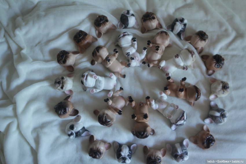 С сегодняшнего дня начался предзаказ на моего шарнирного щенка фрацузского бульдога