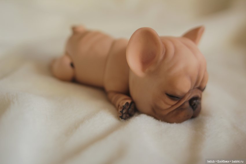 С сегодняшнего дня начался предзаказ на моего шарнирного щенка фрацузского бульдога (фото 8)