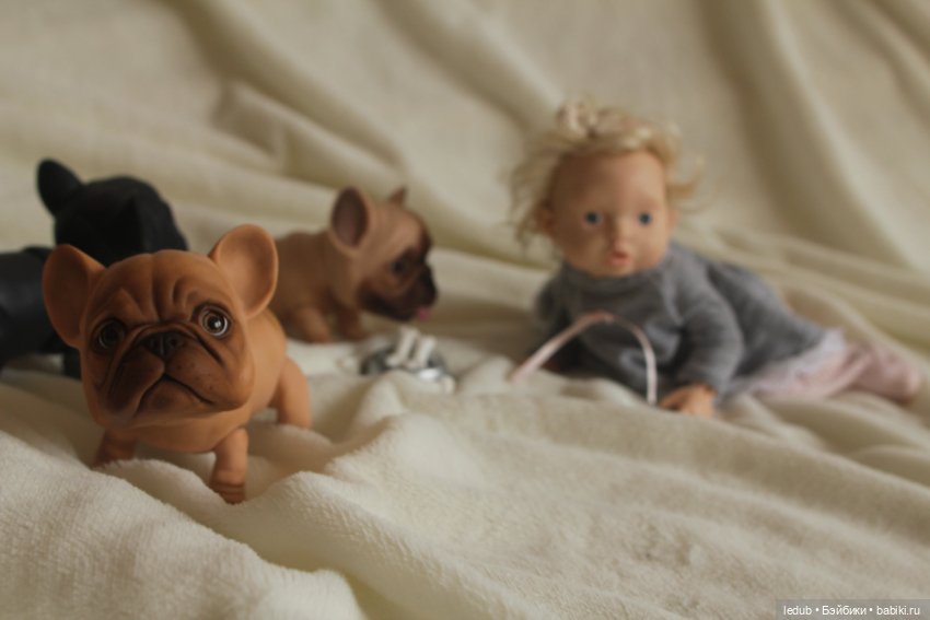 С сегодняшнего дня начался предзаказ на моего шарнирного щенка фрацузского бульдога