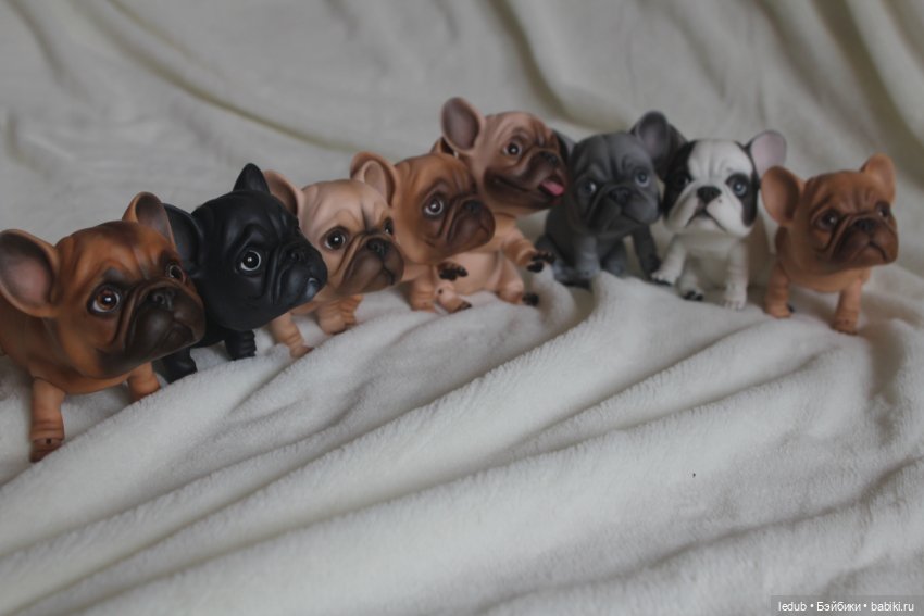 С сегодняшнего дня начался предзаказ на моего шарнирного щенка фрацузского бульдога