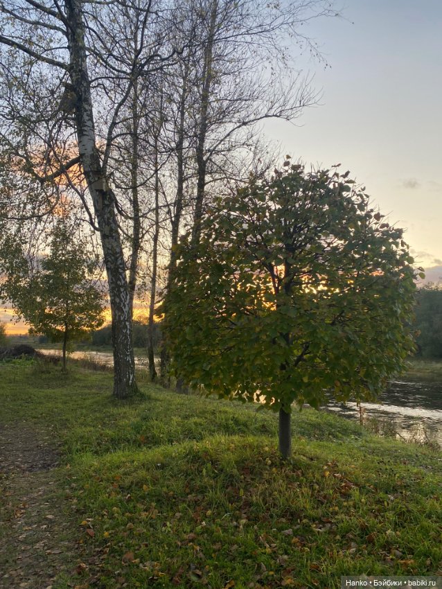 Персонаж — Игровые куклы разных производителей (Разное): редкие бренды