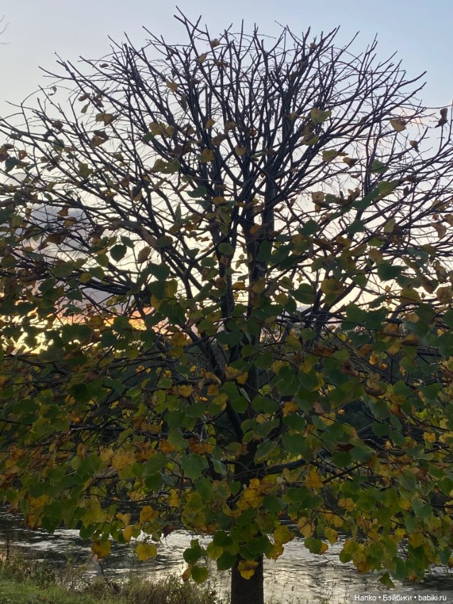 Персонаж — Игровые куклы разных производителей (Разное): редкие бренды