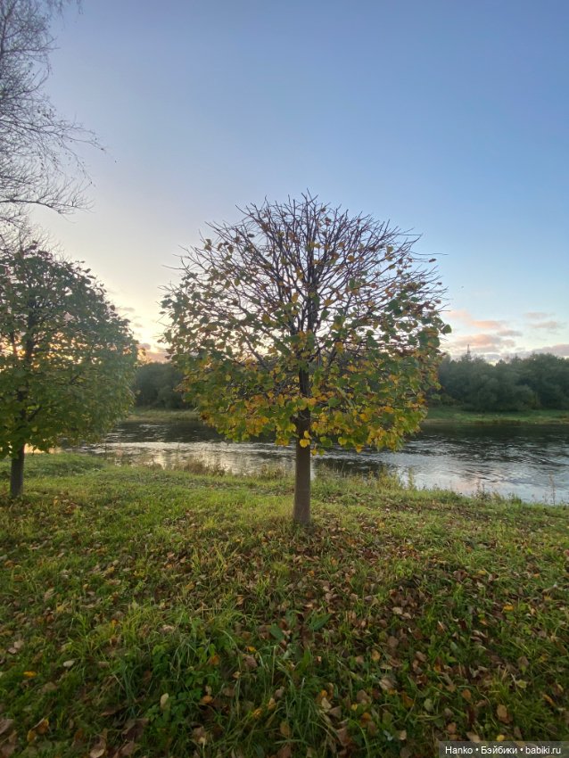 Персонаж — Игровые куклы разных производителей (Разное): редкие бренды