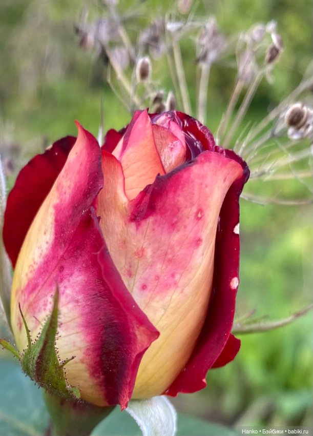 Персонаж — Игровые куклы разных производителей (Разное): редкие бренды